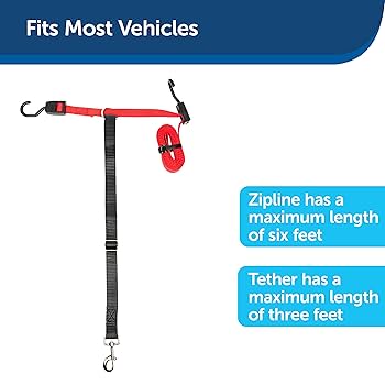 PetSafe Happy Ride Dog Zipline - Back Seat Leash - Great for Travel - 72 inch