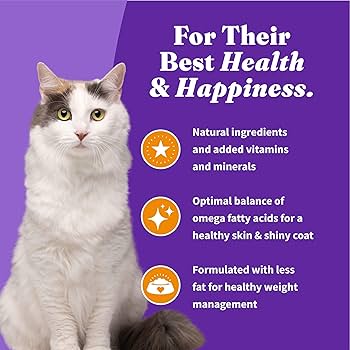 Halo Holistic Cage Free Chicken Cat Food, Grain Free, Healthy Weight, Indoor, 10 lb