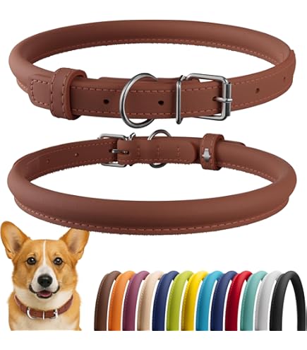 Coastal Circle T Rustic Leather Dog Collar, Chocolate, 3/4" x 20"