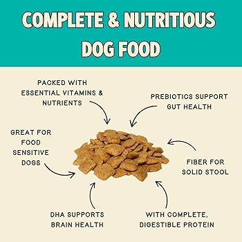 Jiminy's Cravin' Cricket Dry Dog Food, Sensitive Stomach, 10lb Bag