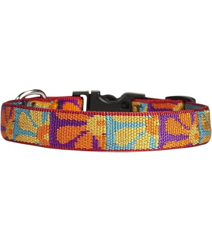 LupinePet Originals Jelly Roll Dog Collar 3/4" Wide, Adjustable 15-25"