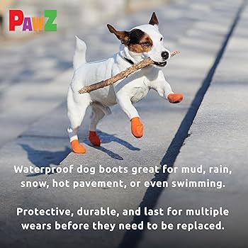 Pawz Rubber Dog Boots - XS, Orange, 12 Pack - Waterproof, Reusable Paw Protection
