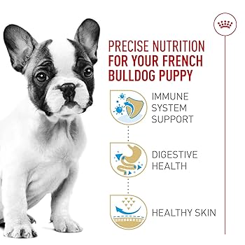 Royal Canin French Bulldog Puppy Dry Dog Food, 10.5 lb Bag