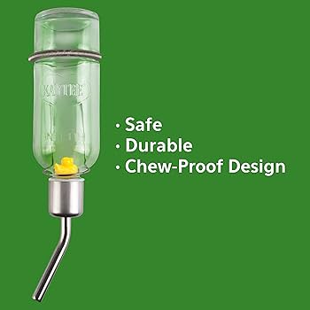Kaytee Chew-Proof Glass Water Bottle - 6 oz, Small Animal Water Bottle, Stainless Steel Sipper Tube