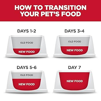 Hill's Science Diet Adult Sensitive Stomach & Skin Pollock & Barley Dry Cat Food, 3.5 lb Bag