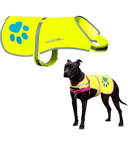 Alcott High Visibility Dog Vest - Yellow, Large, Reflective Safety Vest
