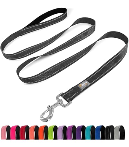 VirChewLy Indestructible Dog Leash, 5.6 ft, Medium, Orange