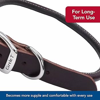 Coastal Circle T Latigo Leather Round Dog Collar 3/8" x 12"