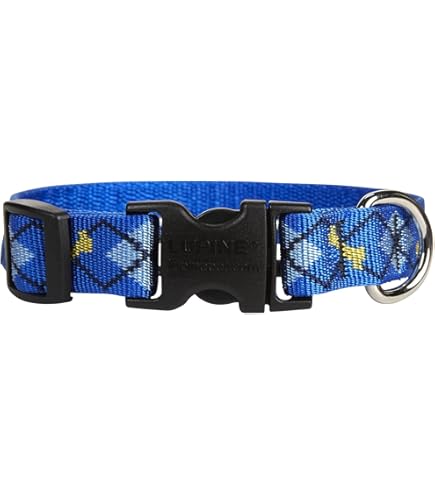 Lupine Pet Puppy Love Dog Collar - Adjustable, 3/4 Inch, 13-22 Inch Neck