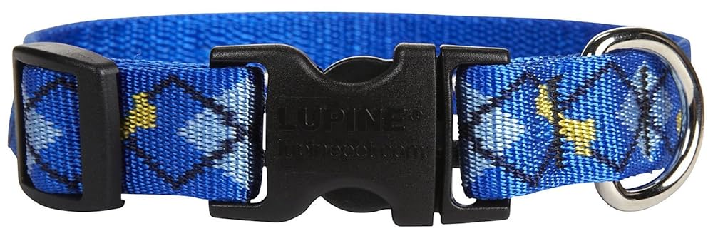 LupinePet Originals Dapper Dog Collar - 3/4 Inch Wide, Adjustable 15-25 Inches