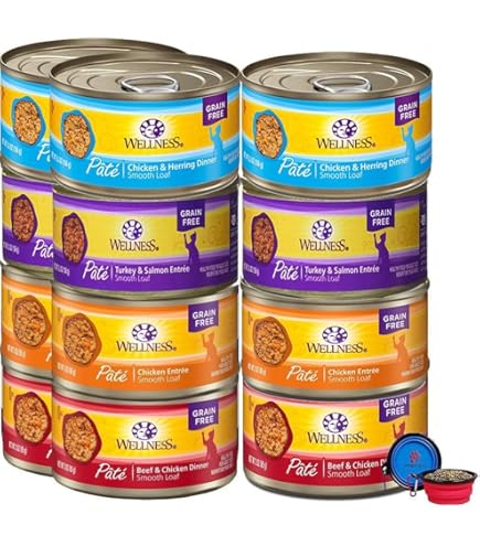 Wellness Complete Health Turkey & Salmon Pate Canned Cat Food, 5.5 oz