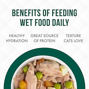 Weruva TruLuxe Mediterranean Harvest Tuna & Veggies Wet Cat Food - 3oz Can