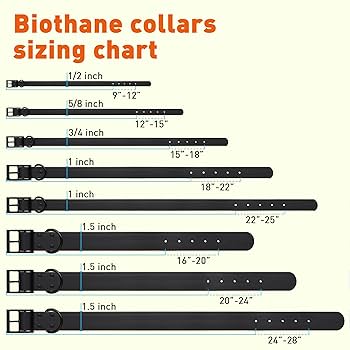 Dogline Biothane Waterproof Dog Collar, Black, XL (22-25 inch), 1" Wide, Strong, Easy Clean