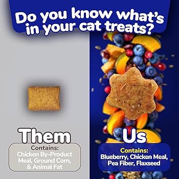 Fruitables Chicken & Blueberry Crunchy Cat Treats - 2.5 oz Deliciously Healthy, Low Calorie