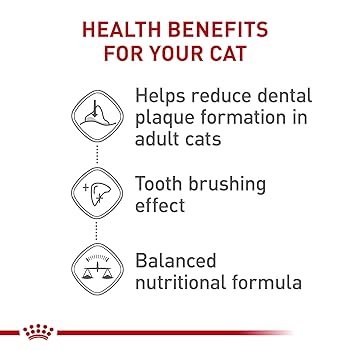 Royal Canin Feline Care Nutrition Dental Care Adult Dry Cat Food, 6 lb Bag