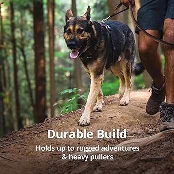 Ruffwear Front Range Dog Harness - Comfortable Padded Everyday Harness