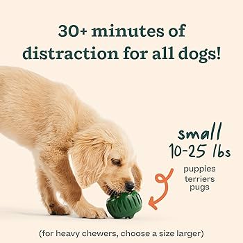 Woof Pupsicle Interactive Dog Toy - Treat Dispenser, Long-Lasting, Green, Small Dogs 10-25 lbs