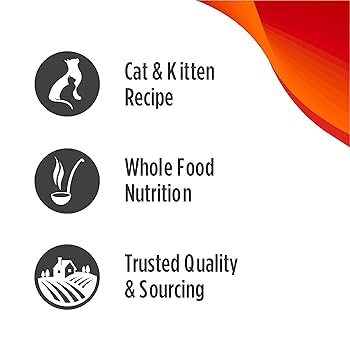 Nulo Freestyle Freeze-Dried Raw Turkey & Duck Recipe Cat Food, 3.5 oz Grain-Free with Probiotics