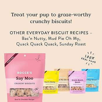 Bocce's Bakery Say Moo Dog Treats - Beef & Cheddar Biscuits, 5 oz Everyday Wheat-Free