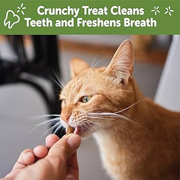 Whimzees Cat Dental Treats, Chicken Flavor, 4.5 oz - Natural Teeth Cleaning Cat Chews