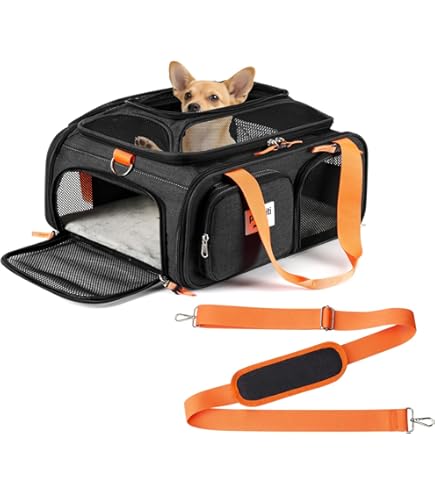 Dogit Explorer Expandable Carry Bag - Burgundy/Gray - Small Dog Carrier