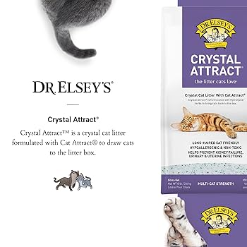 Dr. Elsey's Precious Cat Long Hair Silica Crystal Cat Litter, 8 lbs