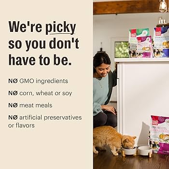 The Honest Kitchen Grain Free Whole Food Clusters Dry Cat Food, Chicken & Whitefish, 4 lb Bag