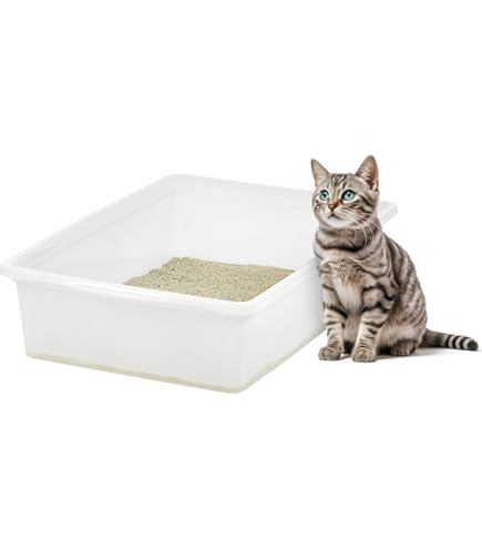 Van Ness Large Cat Litter Pan - Odor & Stain Resistant, Easy Clean, 18.38 x 14.88 x 5 inches (Assorted Colors)
