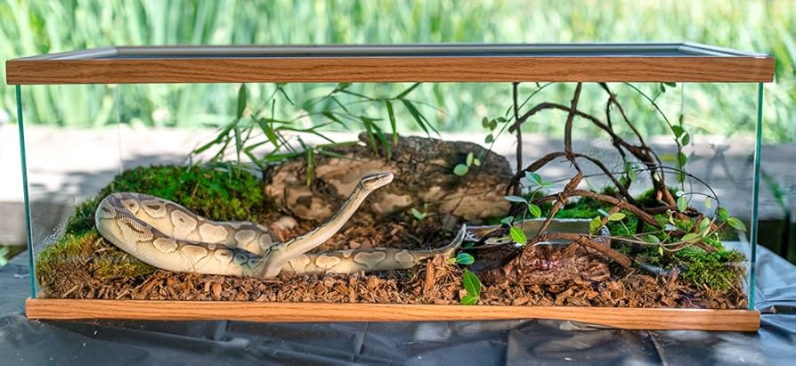 Galapagos Jurassic Fir Bark Bedding - Natural Reptile Substrate - 8 Quart