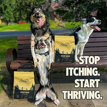 Jiminy's Good Grub Dry Dog Food - Insect Protein, Hypoallergenic, 3.5 lb Bag