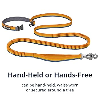 Ruffwear Roamer Bungee Dog Leash - Yellow Snow - Hands-Free Running, Hiking, Biking - 5.5-7 ft
