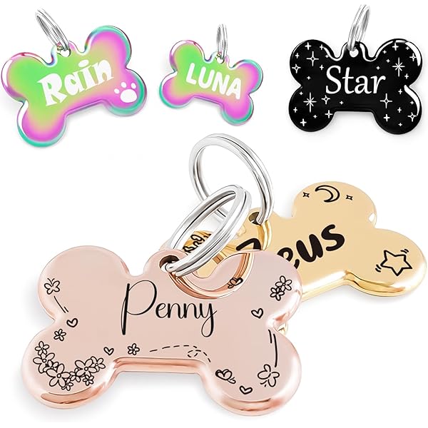 MyFamily Hushtag Big Bone Dog ID Tag, Black Chrome, Silent Pet Tag