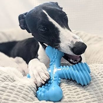 Nylabone Comfort Hold X Bone Power Chew Durable Dog Toy Beef Large/Gia