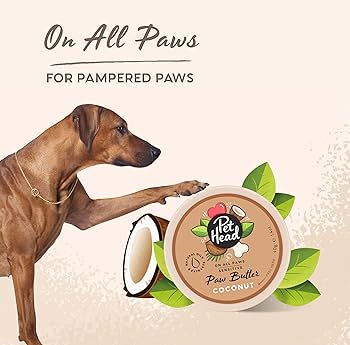 Pet Head On All Paws Coconut Paw Butter for Dogs - 1.4 oz - Moisturizing Balm