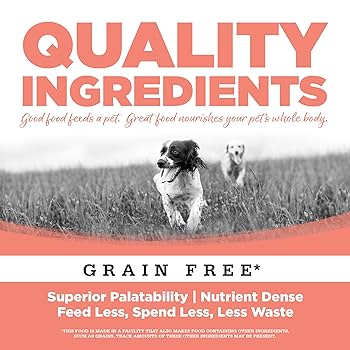 NutriSource Grain Free Small Bites Seafood Select Dry Dog Food - 5 lb Bag