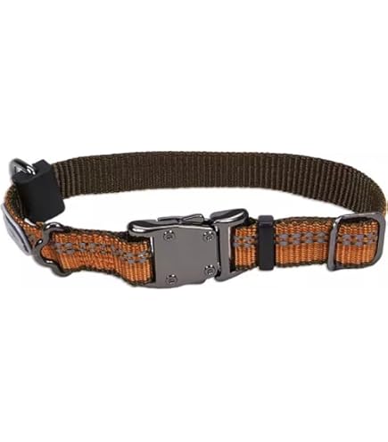 Coastal Pet Pro/Tuff Dog Collar, Blue, 1" Wide, Adjustable (14-20" or 18-26") Nylon or Waterproof