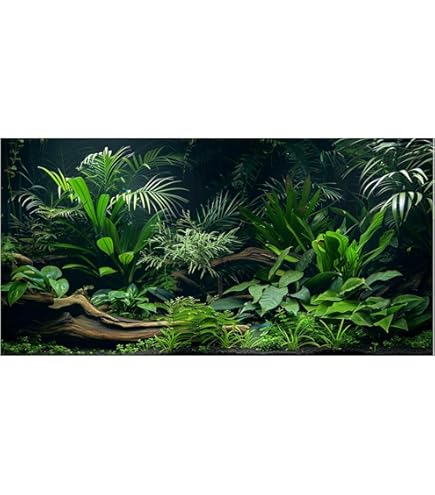 Blue Ribbon Vibran-Sea Aquarium Background - Double Sided Rainforest/Boulder - 19 inch x 50 ft Roll