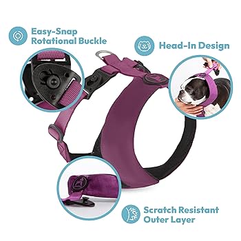 Gooby Comfort X Harness Dual Snap - Turquoise - X-Large - No Pull Dog Harness
