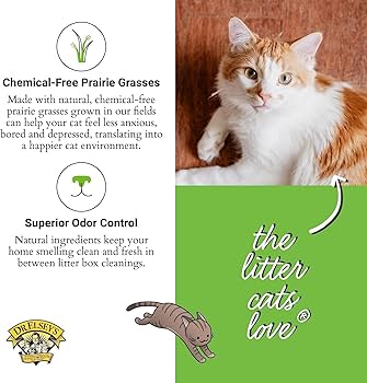 Dr. Elsey's Precious Cat Touch of Outdoors Clumping Clay Cat Litter - 20lb Box
