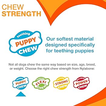 Nylabone Puppy Twin Pack Ring & Bone Chew Toy Combo, Chicken Flavor, Medium/Wolf, Up to 35 lbs