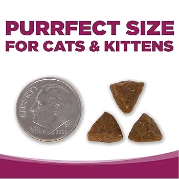 NutriSource Cat & Kitten Chicken & Rice Dry Food, 4 lb - All Life Stages Formula