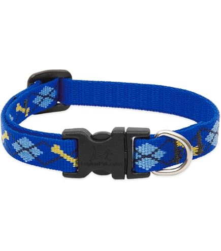 LupinePet Originals Tall Feathers Dog Collar, 1/2 inch, Adjustable 6-9"