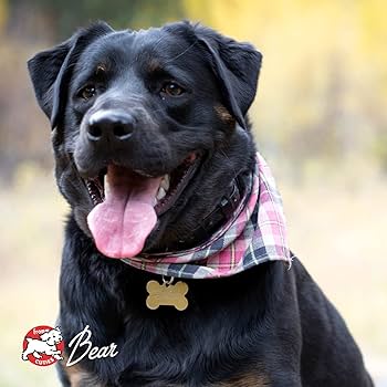 Fromm Four-Star Chicken A La Veg Dry Dog Food - 26 lb Bag - All Life Stages