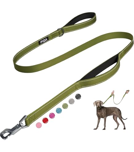 Coastal Inspire Dog Leash - Aqua, 6 ft, 1 inch Wide, Neoprene Padded
