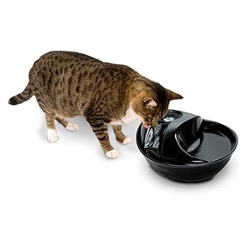 Pioneer Pet Raindrop Ceramic Drinking Fountain - White, 60 oz / 1.77L