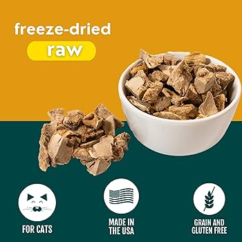 Momentum Cat Treats Chicken Gizzard 1.9oz Freeze Dried, All Natural