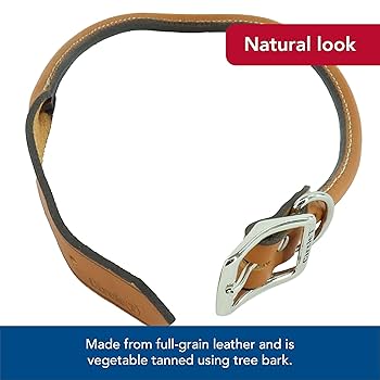 Circle T Oak Tanned Leather Round Dog Collar - Tan - 1" x 24" - Rolled Leather