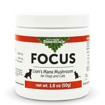 Animal Essentials Focus Lion's Mane Mushroom Supplement - Brain Health for Dogs & Cats - 1.8 oz