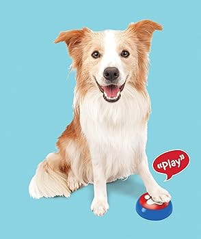 SPOT Easy Talk Recordable Buttons - Pet Communication Training Buzzer - 3 Pack