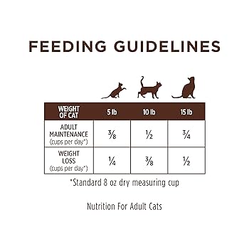 Instinct LID Grain-Free Real Rabbit Dry Cat Food, Limited Ingredient Diet, 10 lb Bag